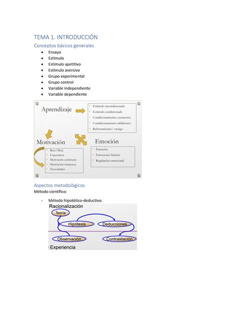 Ame R Parcial Apuntes Tema Introduccin Conceptos Bsicos