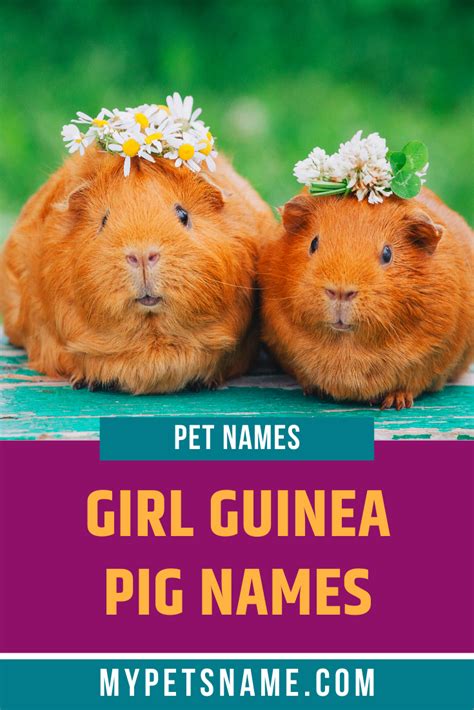 Pin en Girl Pet Names