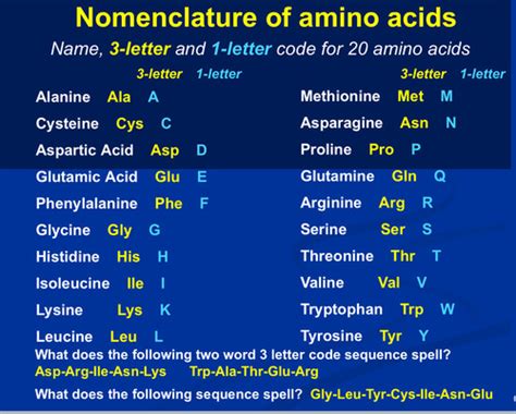 Amino Acids Proteins And Peptides Flashcards Quizlet