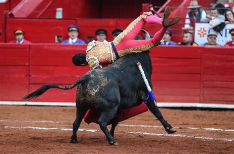 Quién es Héctor Gutiérrez el torero de 25 años de edad que sufrió una