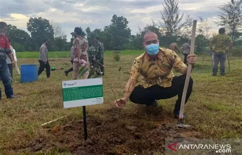 2 078 Izin Usaha Tambang Mineral Dan Batu Bara Dicabut Kenapa GenPI Co