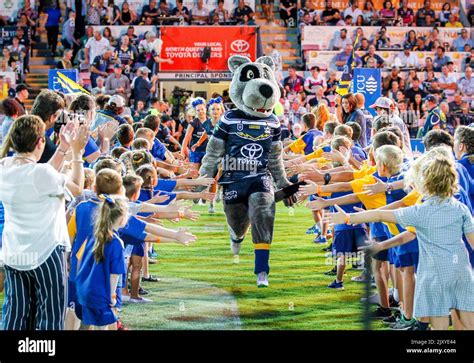 Bluey, the Cowboys mascot enters the field before the Round 1 NRL match ...