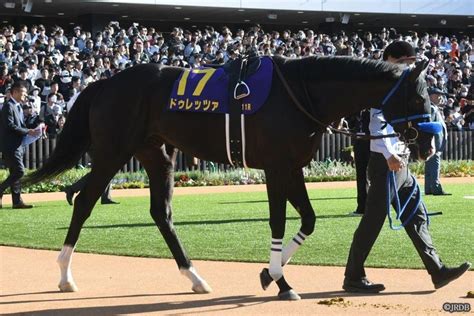 428（日）京都11r 天皇賞（春） 赤木の予想｜jrdb 競馬アラカルト