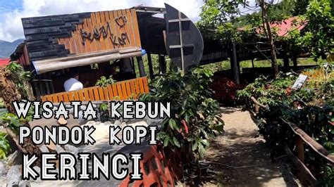 Kebun Kopi Objek Wisata Alam Kerinci Yang Menarik Youtube