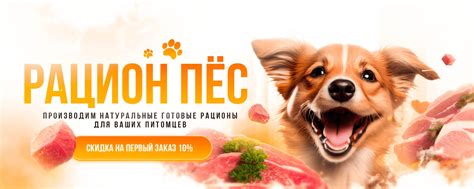 Натуральная еда для собак Екатеринбург | Haтурaльныe рaционы для твоего ...