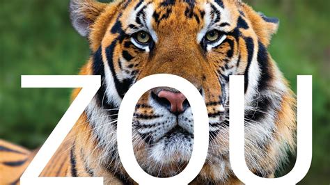 Petition · Columbia Demands a Zoo - Columbia, United States · Change.org