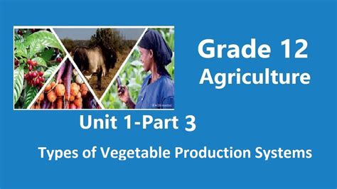 Grade 12 Agriculture Unit 1 Part 3 Youtube