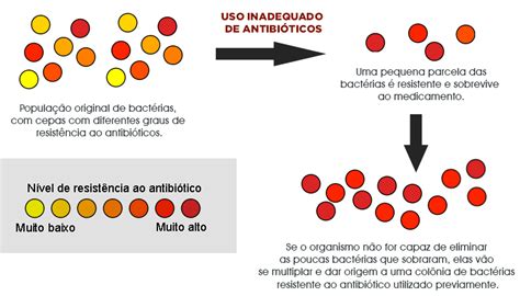 Antibióticos O Que é Tipos E Para Que Serve Mdsaúde