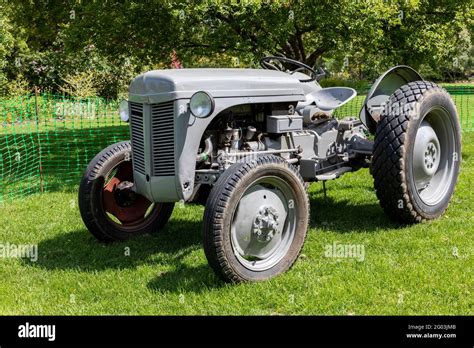 Massey Ferguson Te20 Vintage Tractor Affectionately Known As The
