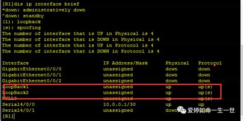 华为路由技术：ospf Router Id优先级顺序深入详解 墨天轮