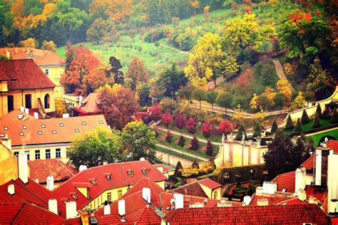 Prague Czech Republic Autumn Trees Frederico Domondon