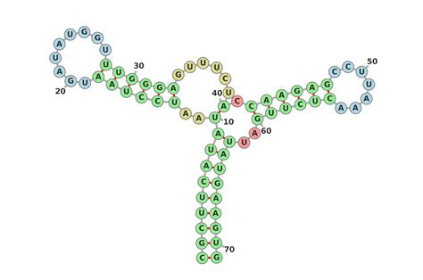 opengl - How to visualize generated RNA secondary structure - Stack ...