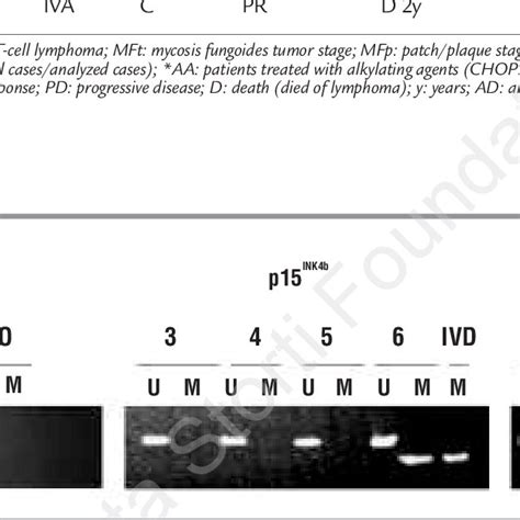 Analysis By Methylation Specific Pcr Polymerase Chain Reaction Of The Download Scientific