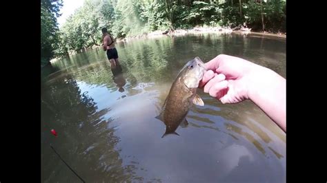 Creek Fishing On Buckcreek Youtube