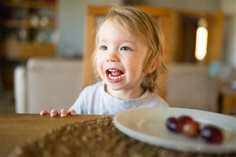 Little Boy Is Eating Grapes Stock Image Image Of Beauty Green 22282583