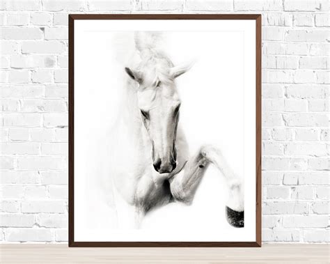 Horse Photography, Black and White Horse Photography, Fine Art Equine ...