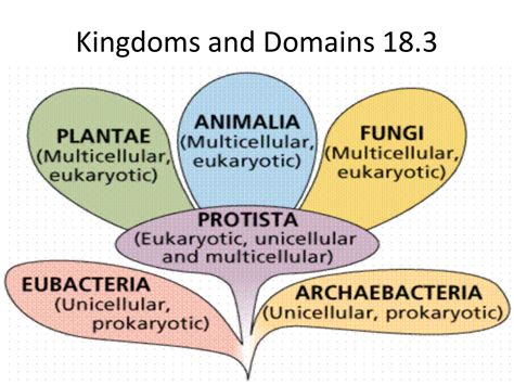 Kingdoms and Domains 18.3