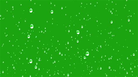 Rain green screen video | Green screen video backgrounds, Green ...