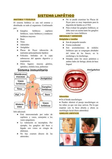 Sistema Linfático Semiología General Piero Vega Udocz