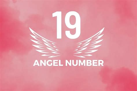 Angel Number 19 Meaning And Symbolism - Blackbird