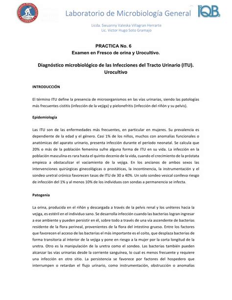 Pdf Diagn Stico Microbiol Gico De Las Infecciones Del Tracto De