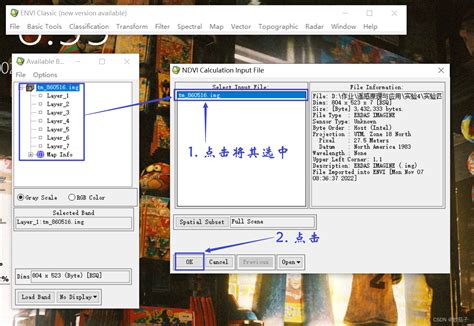 Arcgis And Envi：如何进行植被指数的提取并制作成专题地图？ 阿里云开发者社区