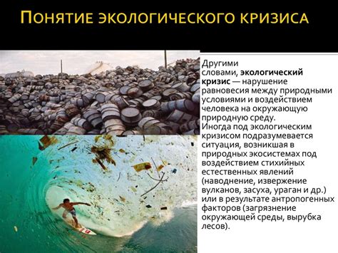 Понятие и принципы экологического кризиса - презентация онлайн