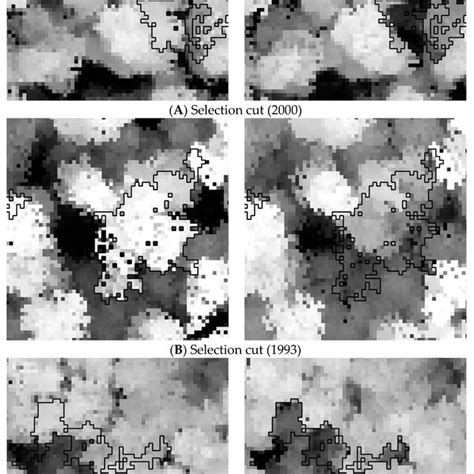 Examples Of Canopy Height Models Of 2007 Left And 2013 Right Of A Download Scientific