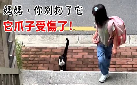 跟着女儿回家的受伤流浪猫，她们好像已经认识很久了！ 哔哩哔哩