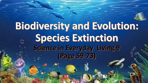 Biodiversity And Evolution Ppt