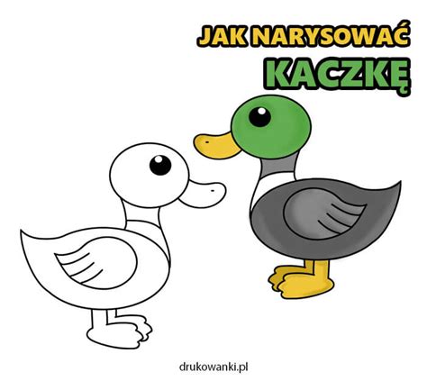 Jak Narysowa Wa Krok Po Kroku Question