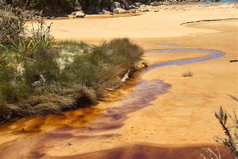 Abel Tasman National Park A Journey Through New Zealand Stock Image