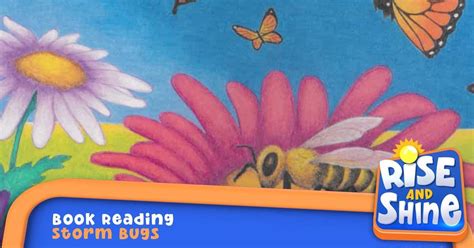 rise  shine read  book storm bugs season  pbs