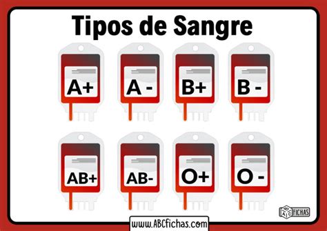 Tipos De Sangre Y Grupos Sangu Neos Que Existen