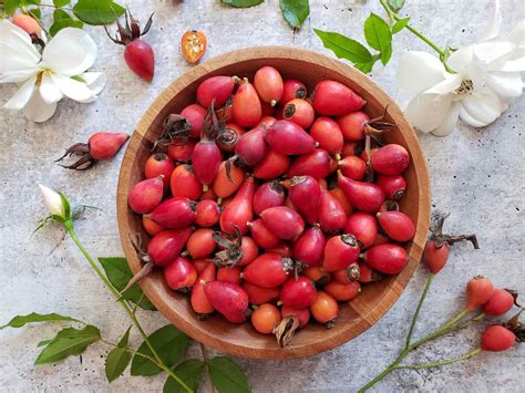 Rose Hip Nutrition Facts Facts Net