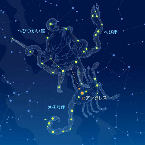 さそり座（蠍座）神話と星占い｜88星座図鑑