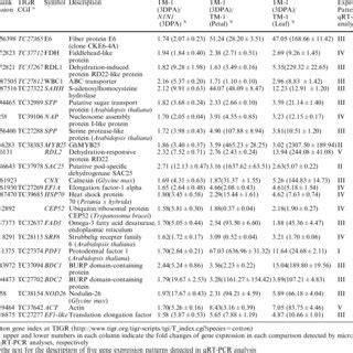 A Sequential Activation Of The Fiber Associated Genes During Early