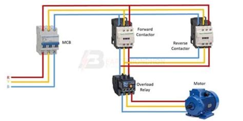 Phase Motor Forward Reverse Wiring Diagram Earth Bondhon