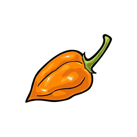 Habanero Illustrations Royalty Free Vector Graphics And Clip Art Istock