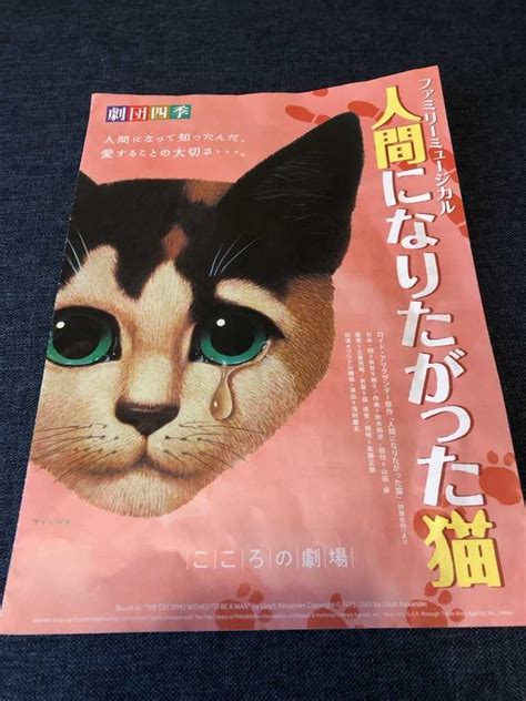 劇団四季人間になりたがった猫や地域猫シロタマちゃん＆2号 One Wish 楽天ブログ