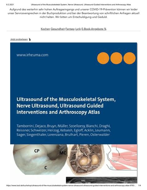 Pdf Ultrasound Of The Musculoskeletal System Nerve Ultrasound