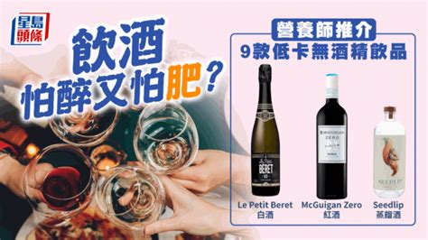 減肥｜飲酒怕醉又怕肥？營養師推介9款低卡無酒精節日飲品 星島日報