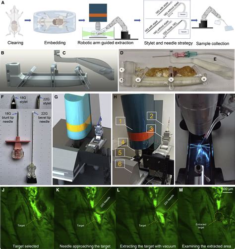 Spatial Proteomics In Three Dimensional Intact Specimens Cell