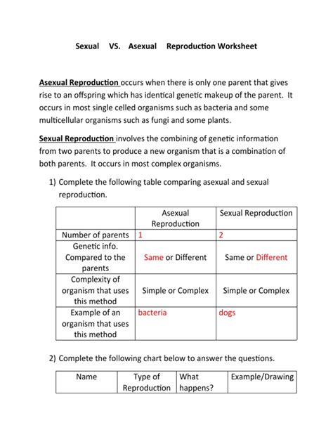 Sexual Vs Asexual Reproduction Worksheet 1 Pdf Sexual Worksheets Library