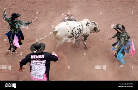 Cowboy bullriding Fotos und Bildmaterial in hoher Auflösung Alamy