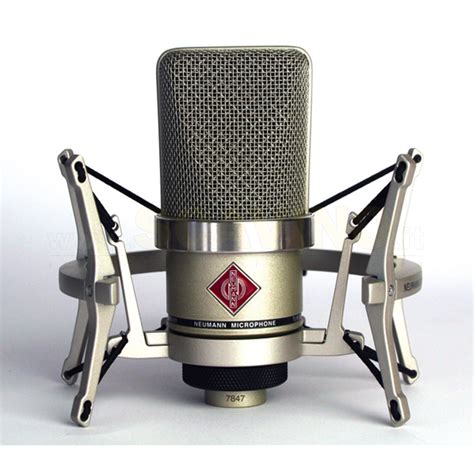 Neumann TLM102 Studio Set Microfono Condensatore Con Sospensione SG2