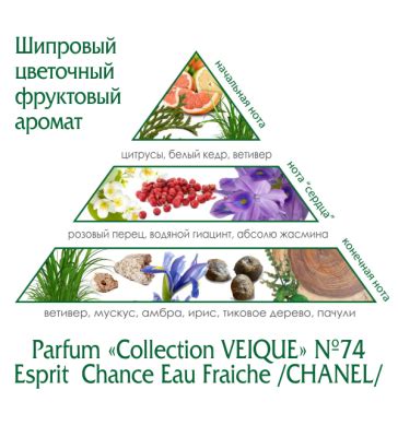 Perfume Collection Veique № 74 (ESPRIT Chance Eau Fraiche) /CHANEL/ 100ml