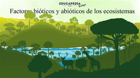 Factores Bióticos Y Abióticos De Los Ecosistemas Educapedia