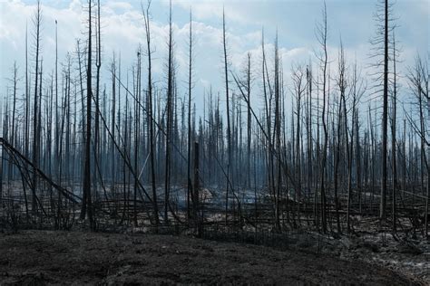 El Oeste De Canadá Declara El Estado De Emergencia Al Empeorar La