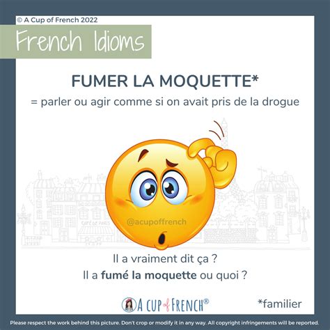 Free Infographic Infographics French Grammar French Expressions